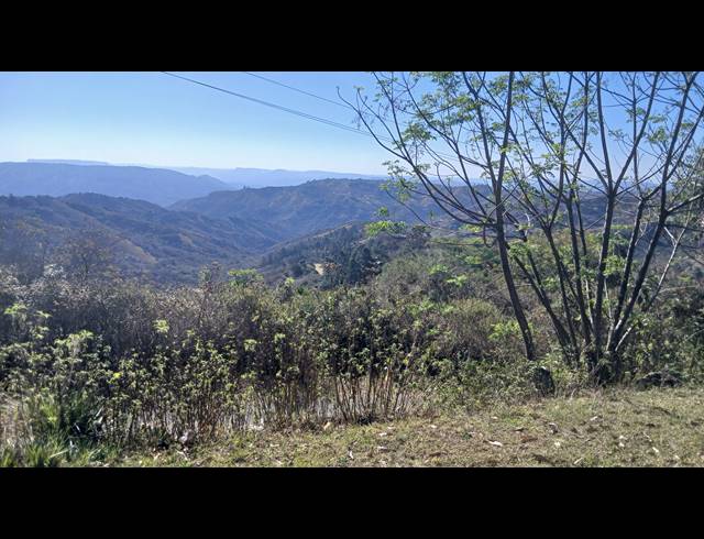 4 BEDROOM HOUSE FOR SALE IN BOTHAS HILL